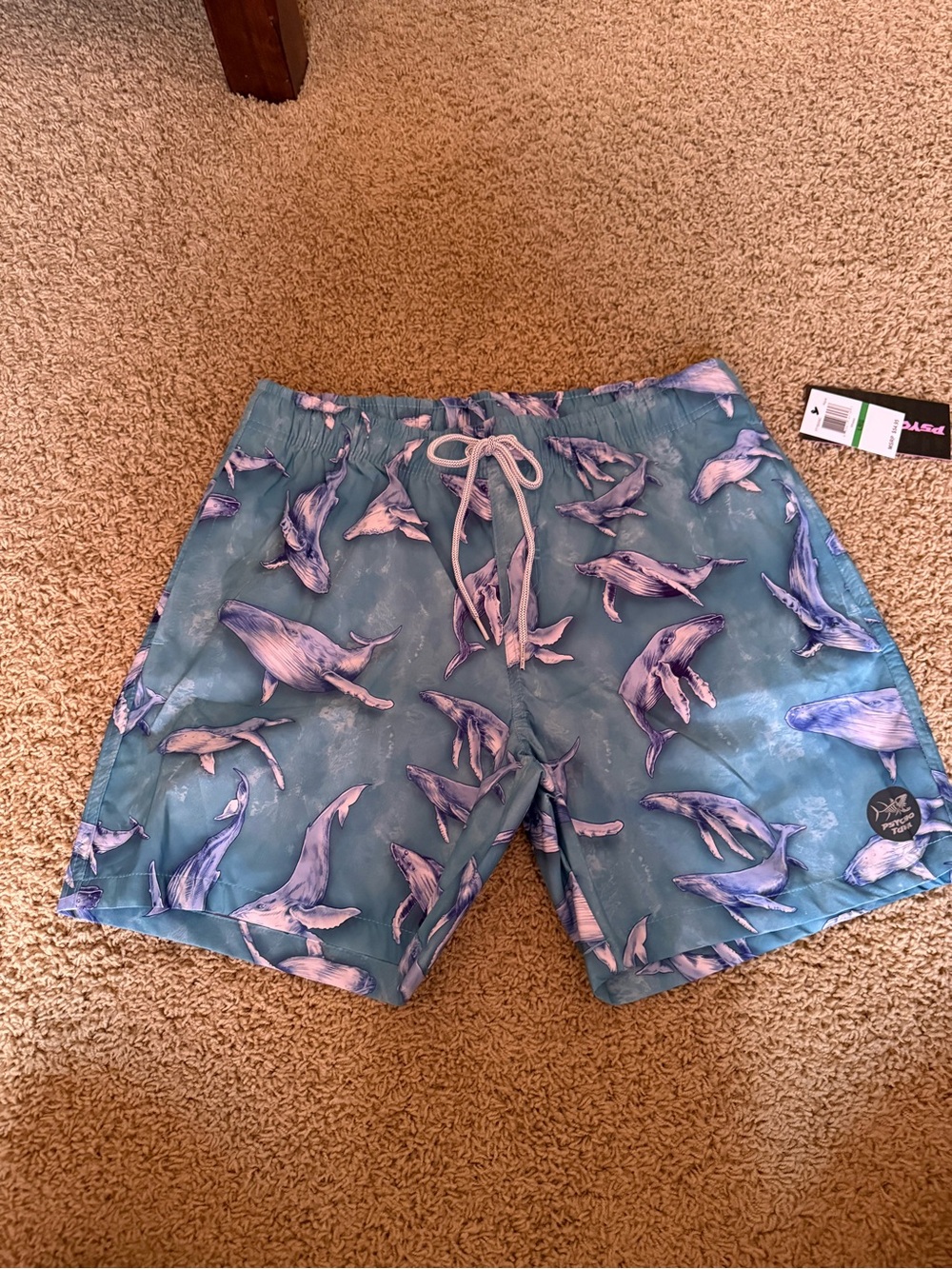 Men's Teal Whale Print Swim Trunks